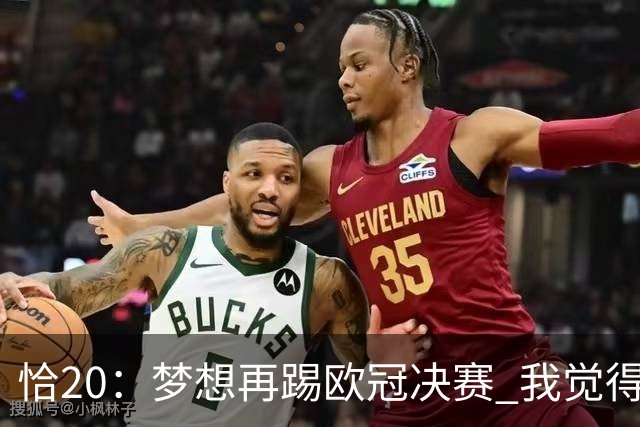 恰20：梦想再踢欧冠决赛 我觉得退役后我能当土耳其足协主席